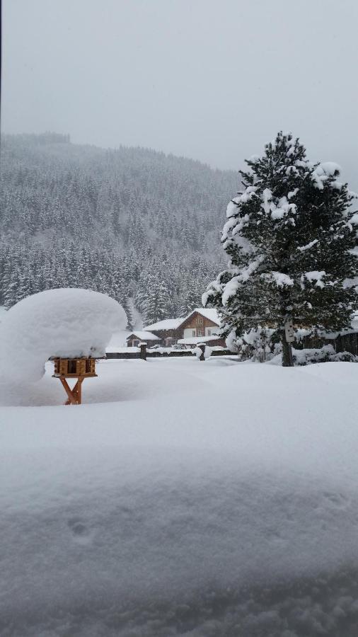 Helmuth Oberreiter Bed & Breakfast Flachau